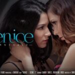 Lesbian Women Wearing Sexy Lingerie Enjoy Passionate Sex